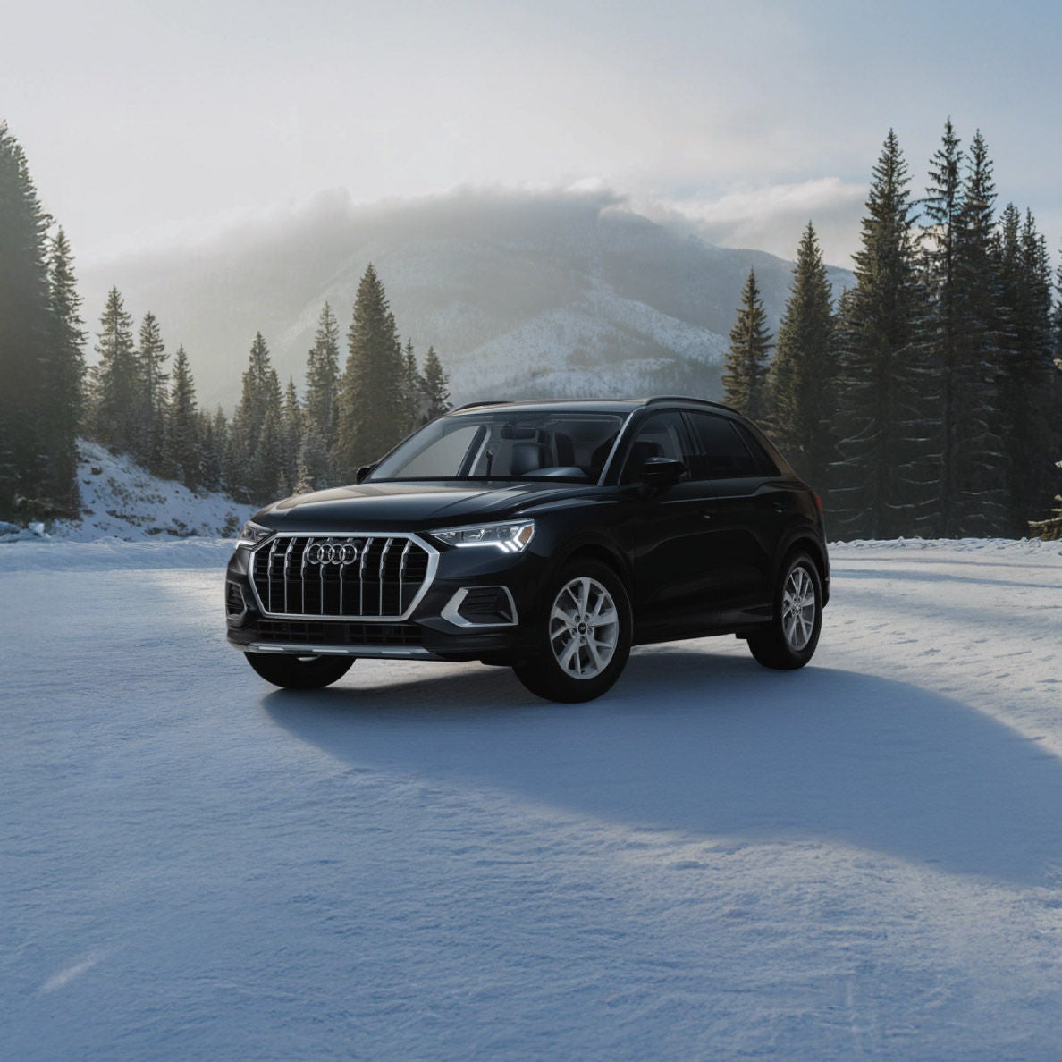 Audi Q3 Winter Tire Packages | Audi Midtown Toronto